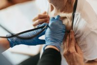 What Are The Risks Of Skipping Regular Health Checkups What Are The Risks Of Skipping Regular Health Checkups